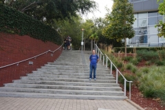 Michi auf dem Weg zu Google