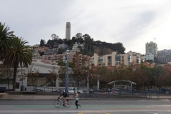 San Francisco und zwei seiner sportlichen Bewohner