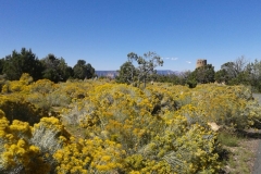 Desert View Aussichtsplateau