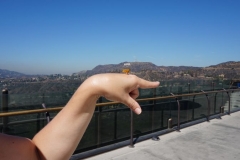 so zutrauchlich sind die Tiere in Hollywood