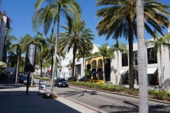 Rodeo Drive