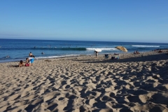 Surfer