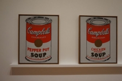 Campbells Soup Cans