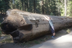 Michi hat den Baum lieb