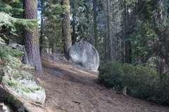 Rocks auf dem Weg zu General Sherman